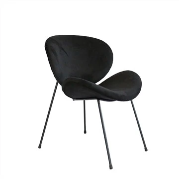 Metalramme Spisestuestol Uphoplstered Leisure Chair Accent Chair